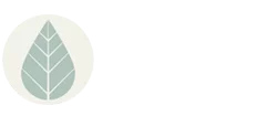 Chiropractic Rochester MN Vitality Chiropractic