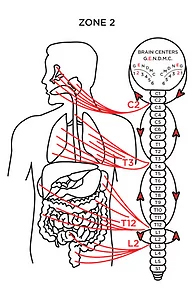 Chiropractic Rochester MN Zone 2