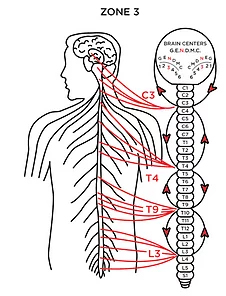 Chiropractic Rochester MN Zone 3